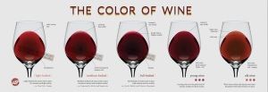 Kleuren rode wijn volgens Wine Folly